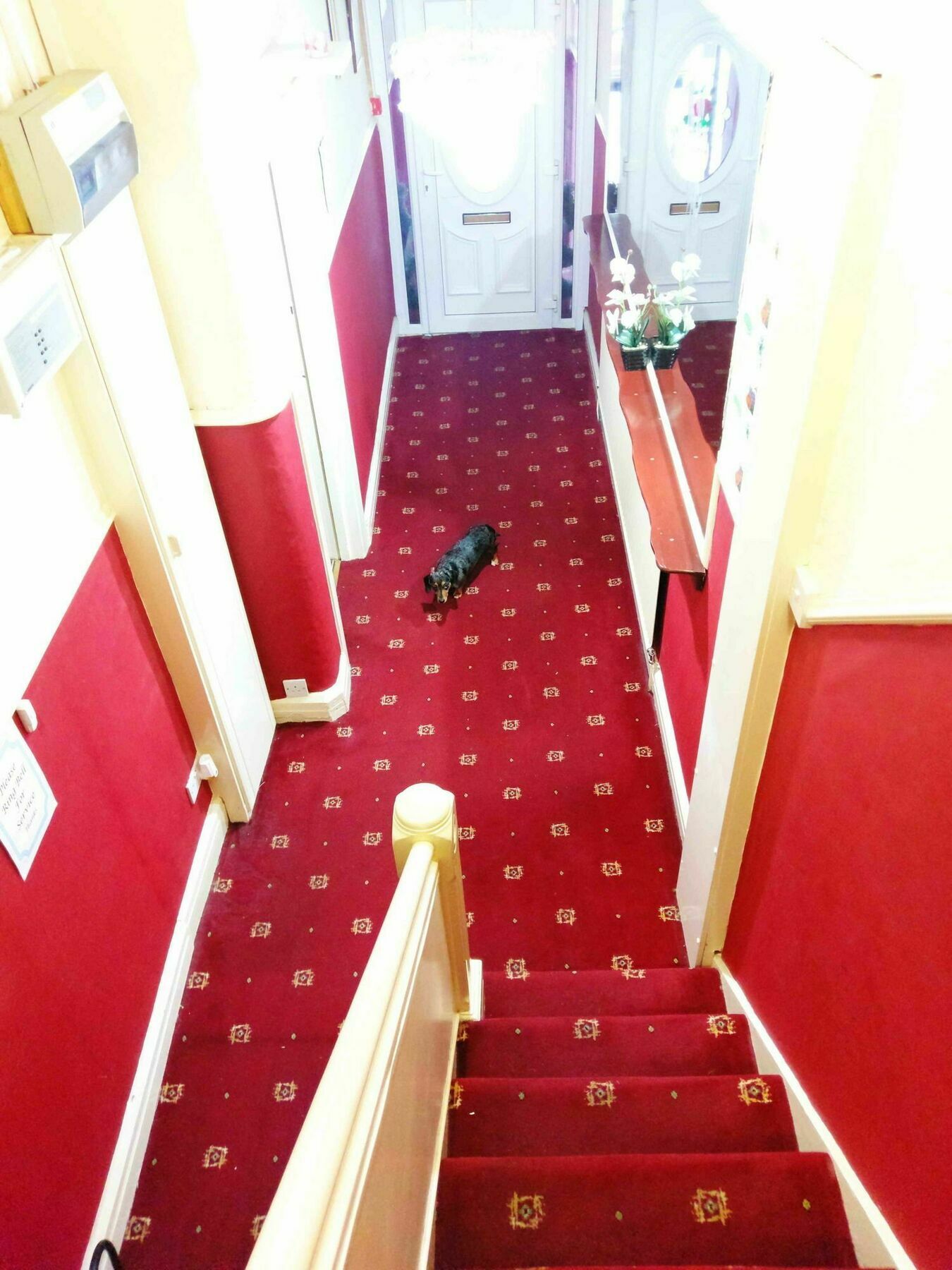 Ringbane House Bed & Breakfast Blackpool Bagian luar foto